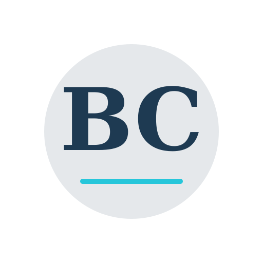 Baird Chimney Repair logo